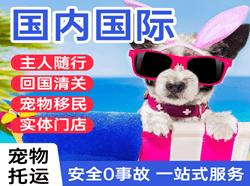 观音机场货运国际宠物托运 【国
